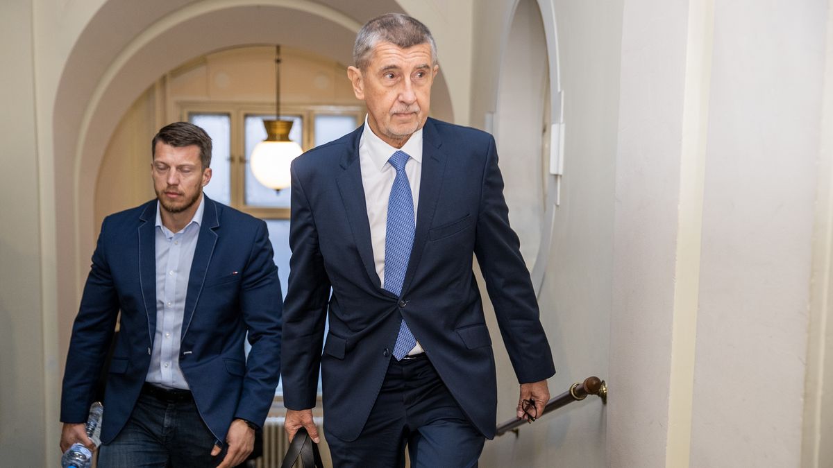 V kauze Čapí hnízdo se rozhodne před prezidentskou volbou, míní soudce Šott
